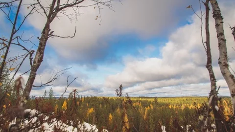 4K Timelapse clouds. Forest sunny autumn day 스톡 동영상 117305893