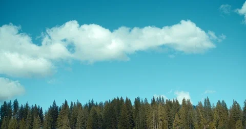 4k Timelapse of clouds forming over trees 動画素材 105495975