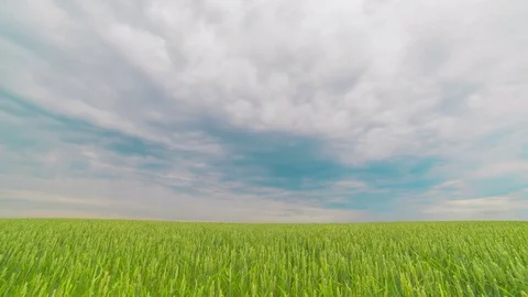 4K. Timelapse clouds over the green field Stock Footage 77157409