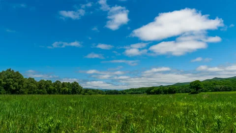 4K. Timelapse clouds over the green field Stock Footage 91677550