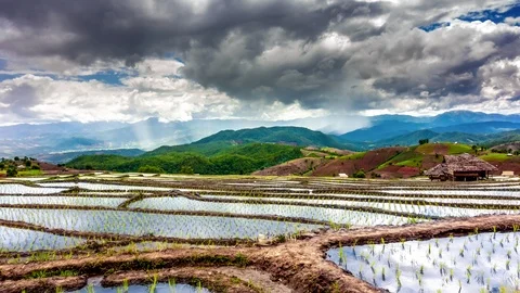 4k Timelapse clouds running above rice terraces with reflection on water surface Stock Footage 92589986