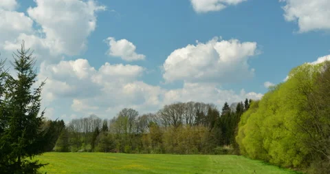 4K Timelapse of Clouds. Scenery - Trees,  Meadow, Wild Deer, Wild Doe Stock Footage 223419528