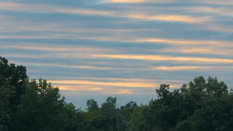 4K Timelapse - Clouds at Sunset with Forest In Foreground 库存影片 128936639