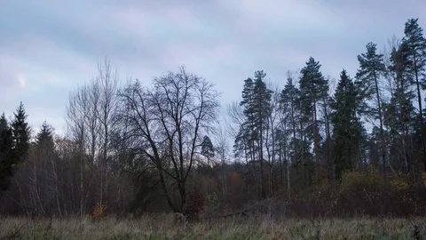 4k timelapse of cloudy evening over meadow and forest in autumn Stock Footage 82733623