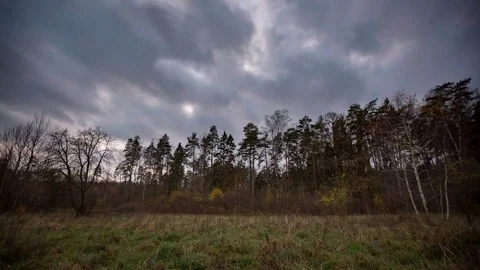 4k timelapse of cloudy evening over meadow and forest in autumn Stock Footage 82738118