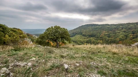 4K timelapse with cloudy sky and forest Stock Footage 67582578