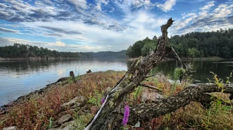 4K timelapse with dam Stock Footage 67627420