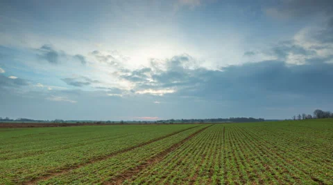4k timelapse of dark clouds moving over young green field of rye Stock Footage 60206067