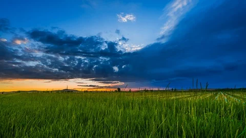 4K Timelapse Of Grass Skyline In Inner Mongolia,China.Asia. Stock Footage 126635155