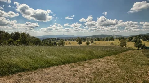 4K timelapse with grass, trees and clouds Stock Footage 67862945