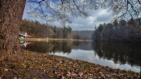 4K Timelapse with lake Stock Footage 72729423
