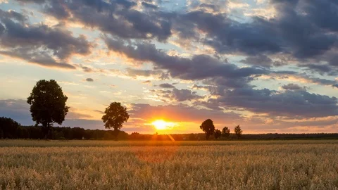 4k timelapse landscape with sunset sky over oat fields in Poland.  스톡 동영상 95258540