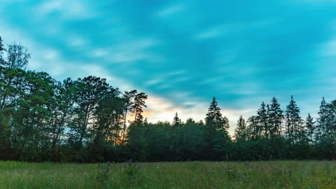 4k timelapse landscape with sunset sky over meadow in forest. Stock Footage 325898220