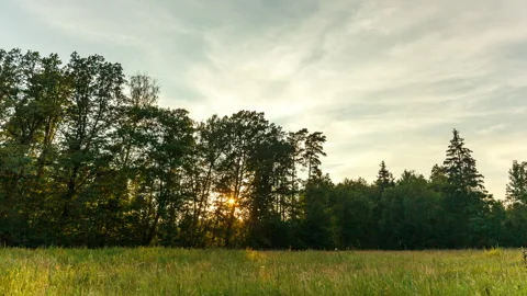 4k timelapse with meadow at sunset. Forest and grassland at summer. Stock Footage 316468533