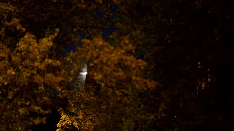 4K TIMELAPSE OF MOONLIGHT DISAPPEARING BEHIND LEAVES IN TREE Stock Footage 131277339