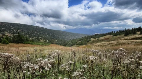 4K timelapse with mountain meadow Video stock 67896644