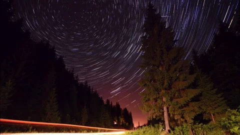 4k Timelapse of moving star trails in night deep forest sky. Milky Way rotating Stock Footage 220420397