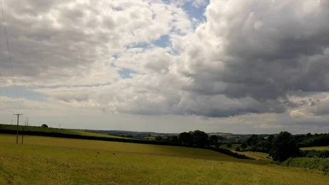 4K Timelapse of a Murder of Crows in South Devon Video stock 113139475