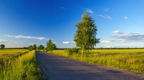 4k timelapse of old asphalt road near field under blue sky with clouds Stock Footage 63965192