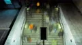4K timelapse overhead people walking down steps to underground entrance 4k or 4k+ Resolution