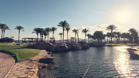 4K timelapse with palm trees in the garden of the hotel Stock-Footage 254053968