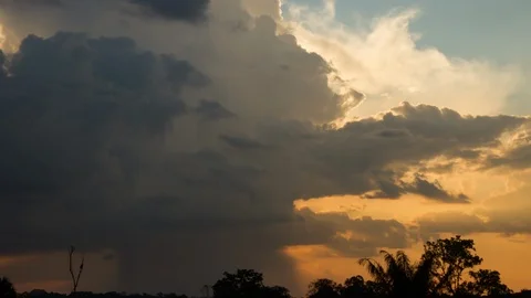 4K Timelapse of rain in the Amazon Forest Stock Footage