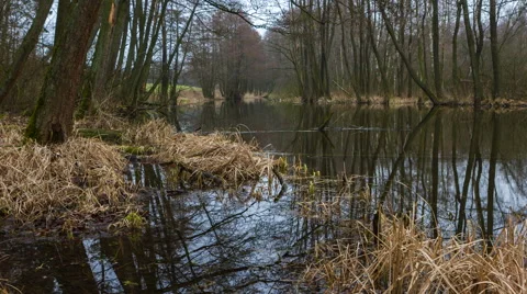 4k timelapse of river in early springtime landscape at bad weather Vídeo Stock 61043045