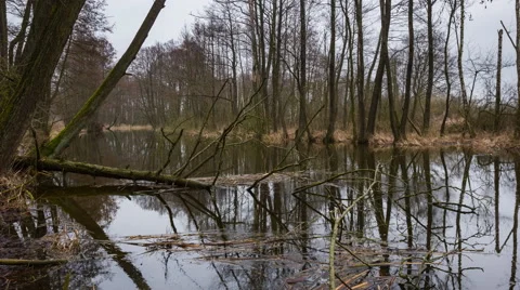 4k timelapse of river in early springtime landscape at bad weather Stock Footage 61043076