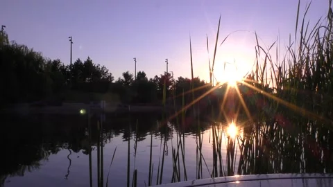 4K Timelapse by the river sunset at the river Stock Footage 200794885