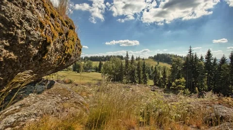 4K timelapse with rock and trees 스톡 동영상 67862950
