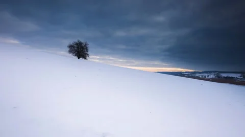 4k timelapse of single tree on a snow field in winter Stock Footage 60223478