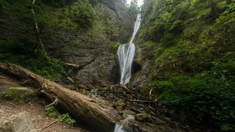 4k timelapse slider shot of a mountain stream, Romania. Stock Footage 77516037