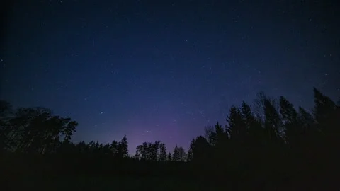 4k timelapse with small amount of northern lights over forest. Night landscape. Stock Footage 307691425