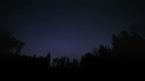 4k timelapse with small amount of northern lights over forest. Night landscape. Stock Footage 307691427