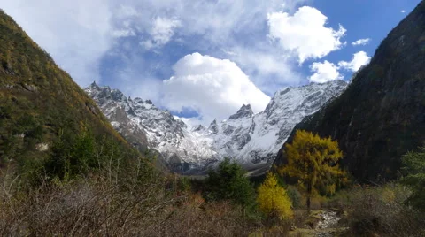 4k timelapse of snow mountains and yellow trees in autumn Stock Footage 44131700