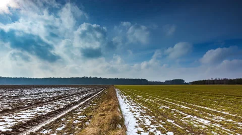 4k timelapse of spring field under blue sky with clouds. Stock Footage 61019716