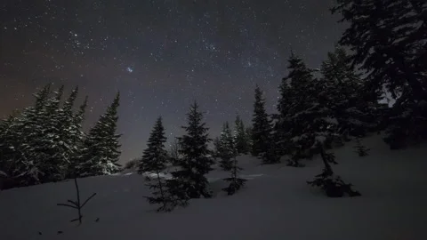 4K Timelapse of Starry Night Above Spruce Forest in Snowy Landscape, Fairytal Stock Footage 146755987