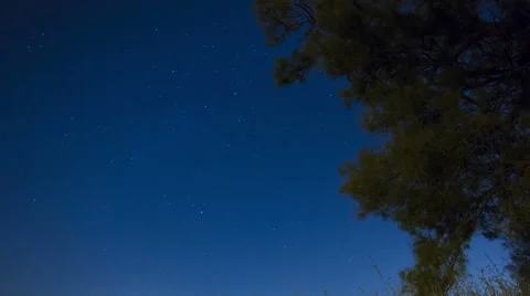 4k Timelapse of starry sky and stars moving over Lonely tree. Vídeo Stock 43205250