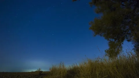 4k Timelapse of starry sky and stars moving over Lonely tree. Vidéo 43205325