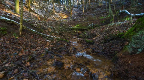 4k timelapse of stream in forest. natural landscape Stock Footage 60040472