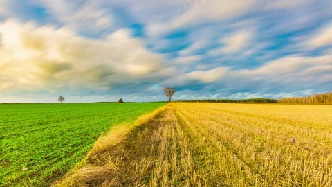 4k timelapse of stubble field landscape under blurred sky Stock Footage 84294590