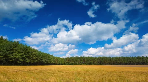 4k Timelapse of stubble field under blue clouds with clouds Stock Footage 58886403