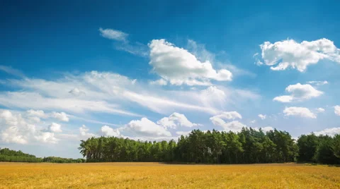 4k timelapse of stubble field under blue sky with clouds Stock Footage 58908936