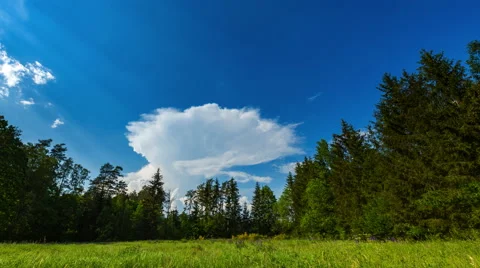 4k timelapse of summer sky with growing storm cloud over green meadow and forest Stock Footage 63576941