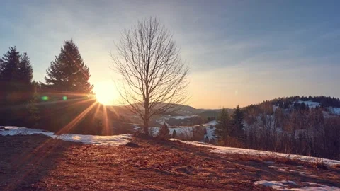 4K Timelapse, sunrise from behind the trees in the spring forest landscape Stock Footage 174162336