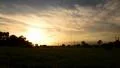 4K Timelapse Sunset 06 Clouds Forest 4k or 4k+ Resolution