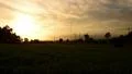 4K Timelapse Sunset 08 Panning L Clouds Forest 4k or 4k+ Resolution