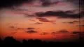 4K Timelapse Sunset 19 Clouds Forest 4k or 4k+ Resolution