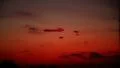 4K Timelapse Sunset 22 Tilt Up Zoom In Clouds Forest 4k or 4k+ Resolution