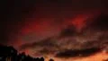 4K Timelapse Sunset 28 Clouds Forest 4k or 4k+ Resolution
